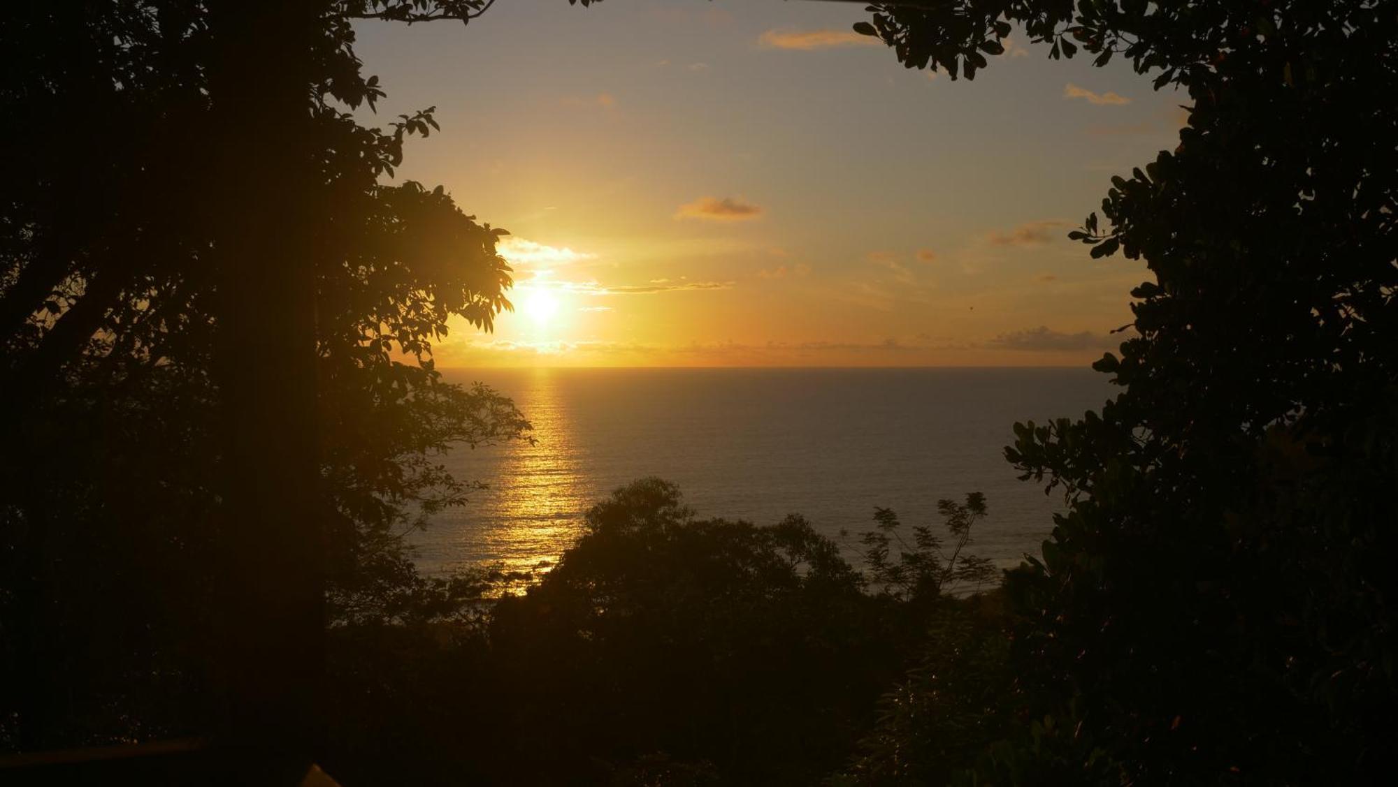 Casa Oh - Oceanview Guesthouse Uvita Extérieur photo